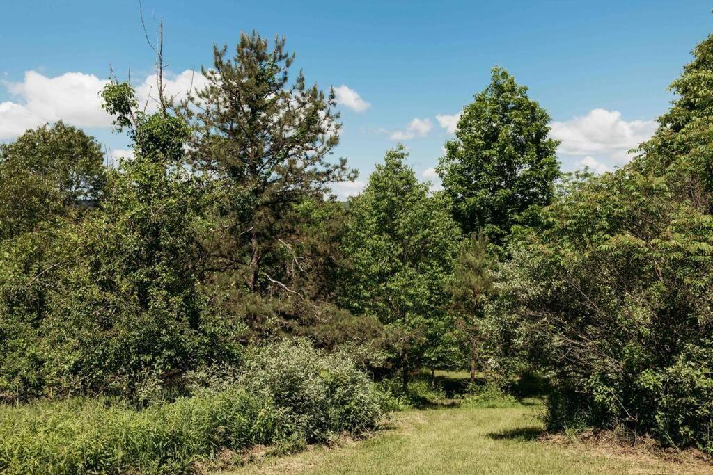 Rustic Ridge Villa Penn Yan Exterior photo